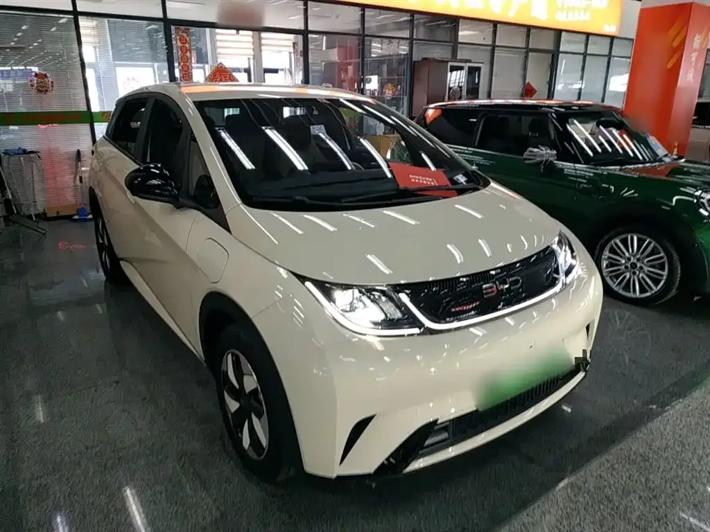 BYD Dolphin 2024 из CN, фото 4