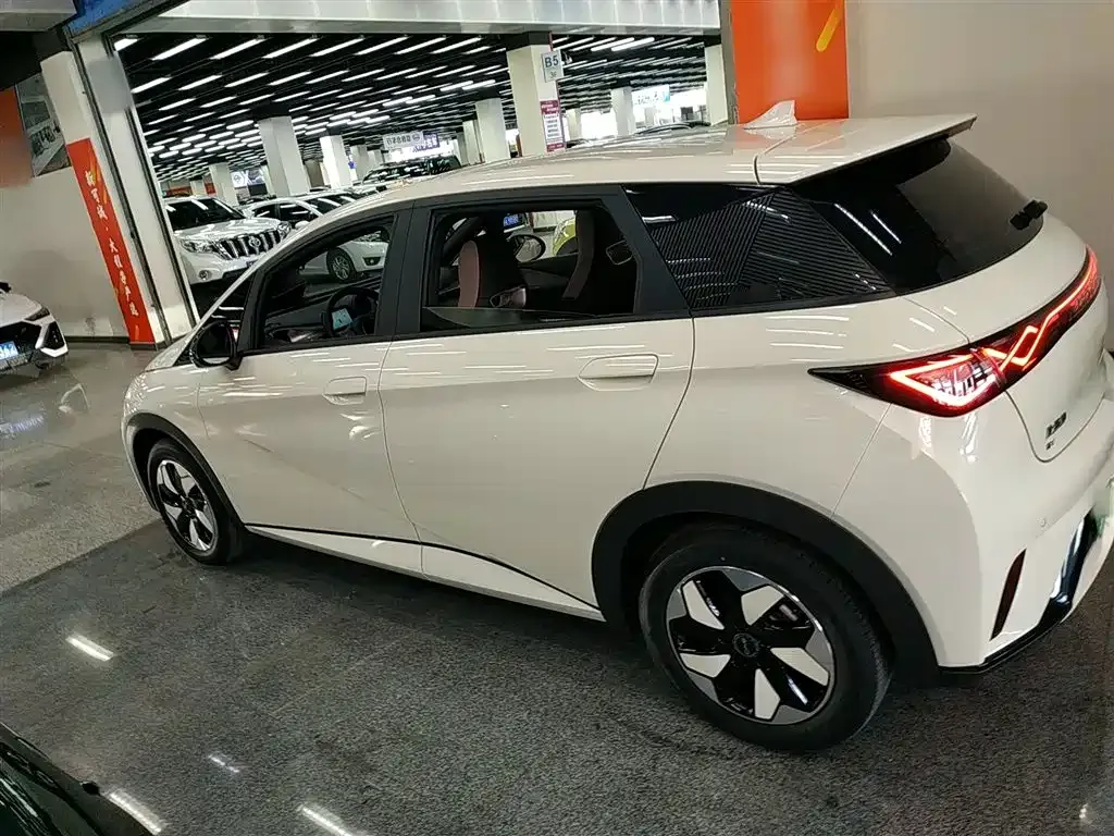 BYD Dolphin 2024 из CN, фото 5