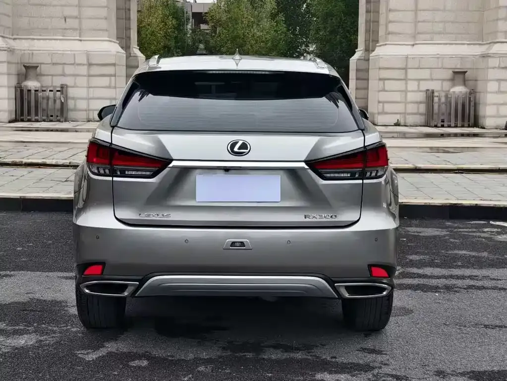 Lexus RX 2022 из CN, фото 8