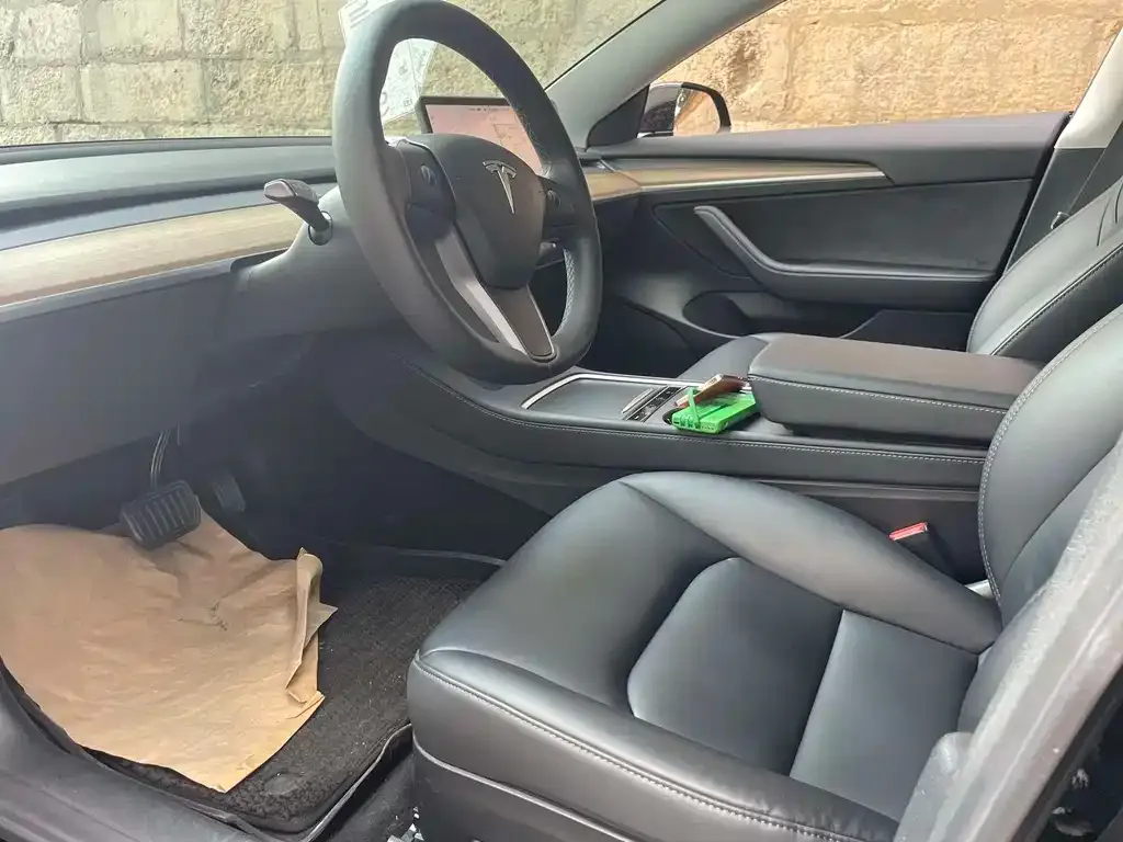 Tesla Model 3 2021 из CN, фото 4