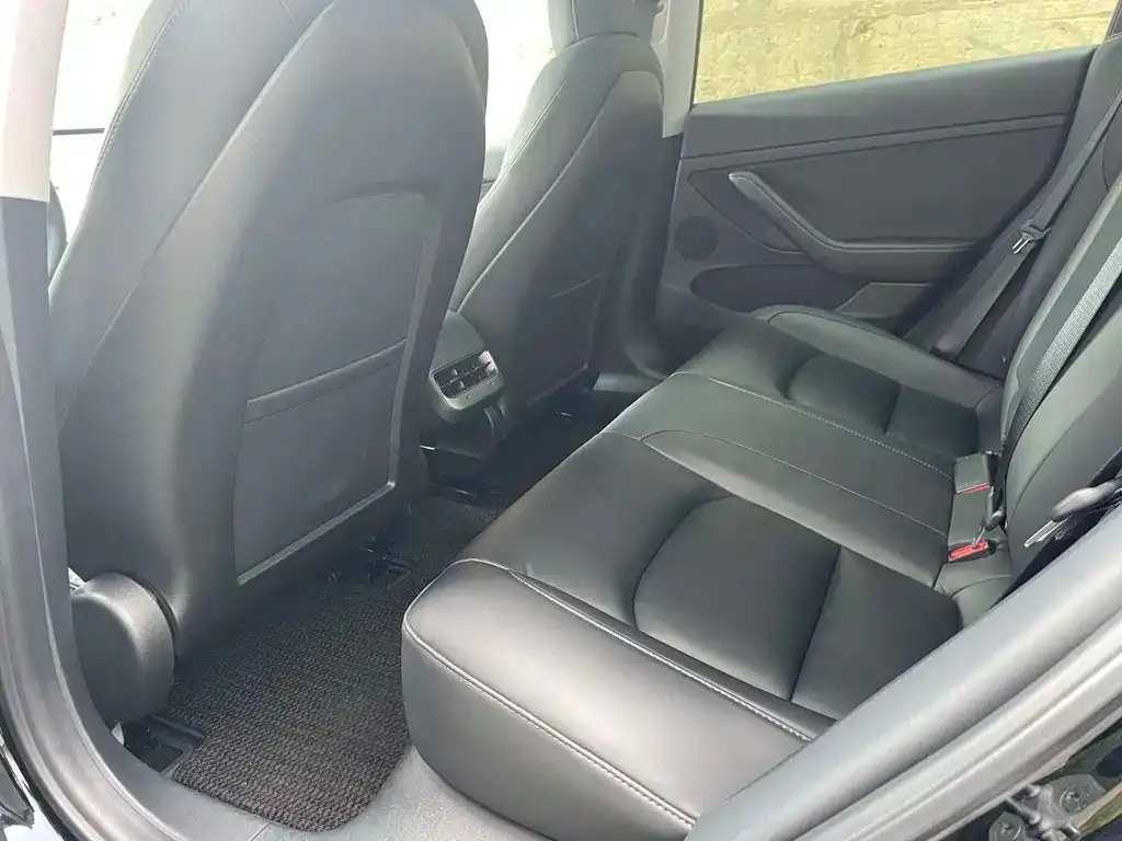 Tesla Model 3 2021 из CN, фото 5