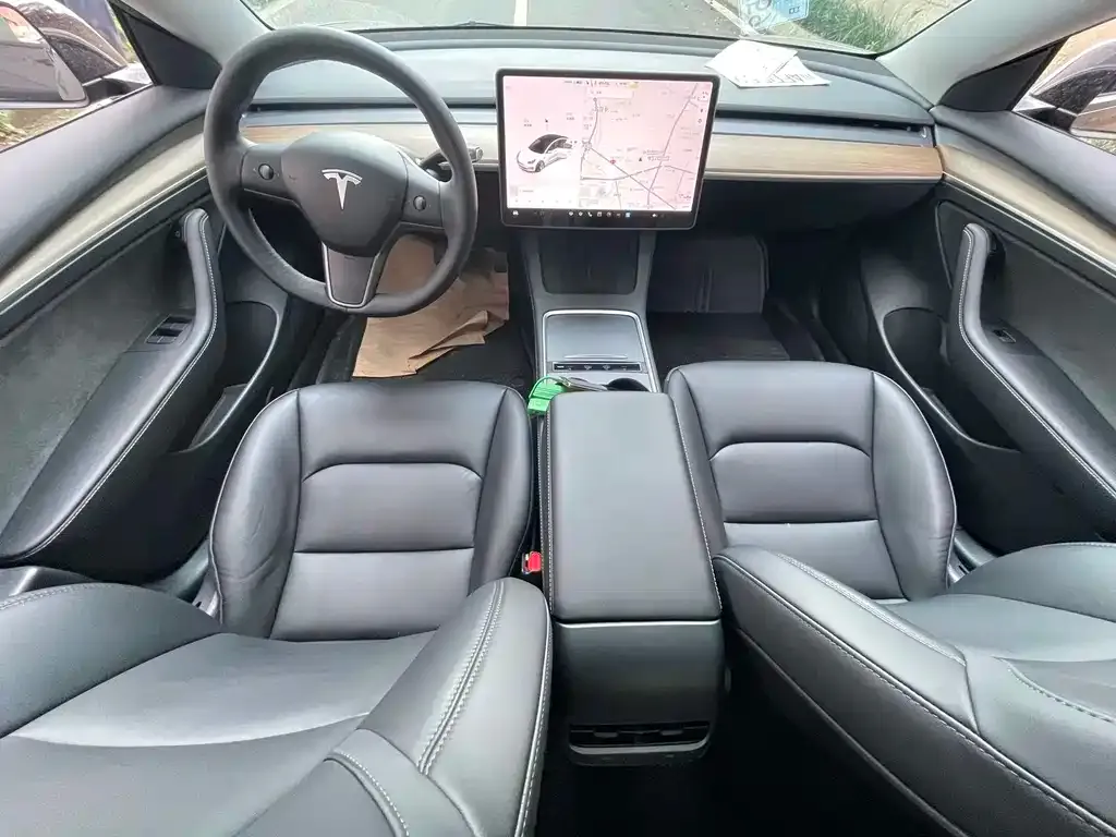 Tesla Model 3 2021 из CN, фото 6