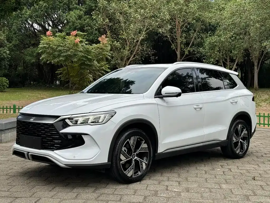 BYD Pro New Energy 2024 из CN, фото 1