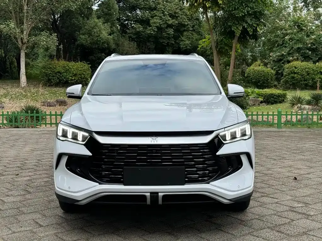 BYD Pro New Energy 2024 из CN, фото 2