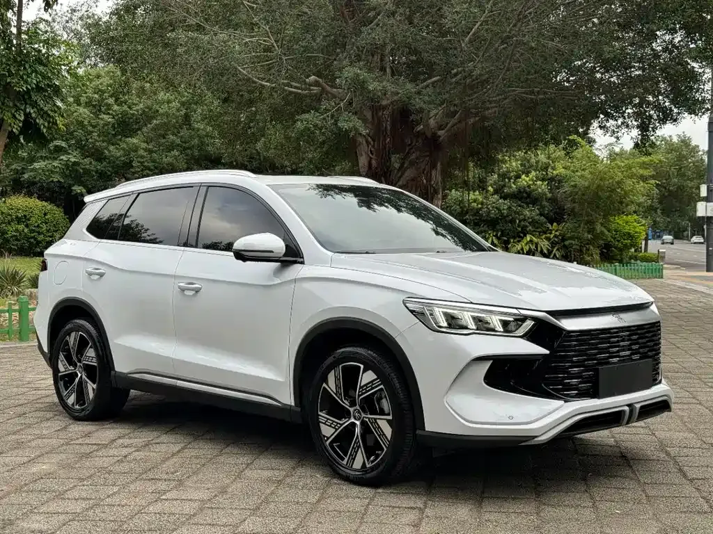 BYD Pro New Energy 2024 из CN, фото 3