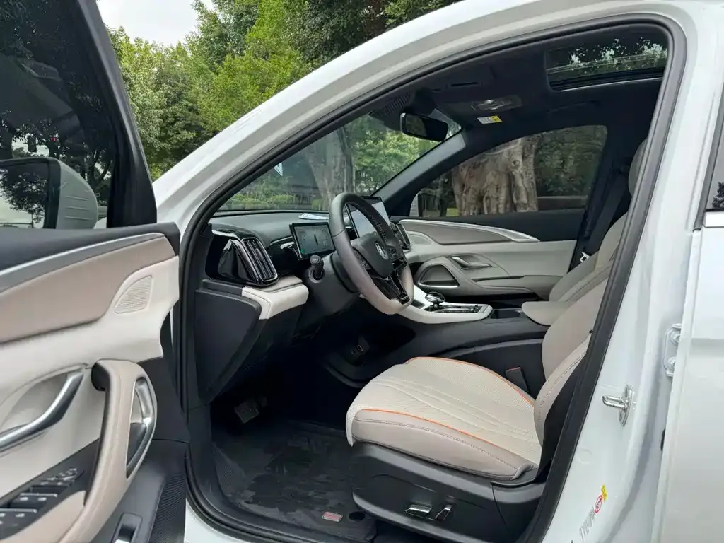 BYD Pro New Energy 2024 из CN, фото 4
