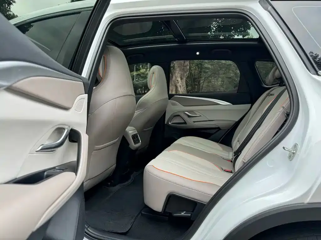 BYD Pro New Energy 2024 из CN, фото 5