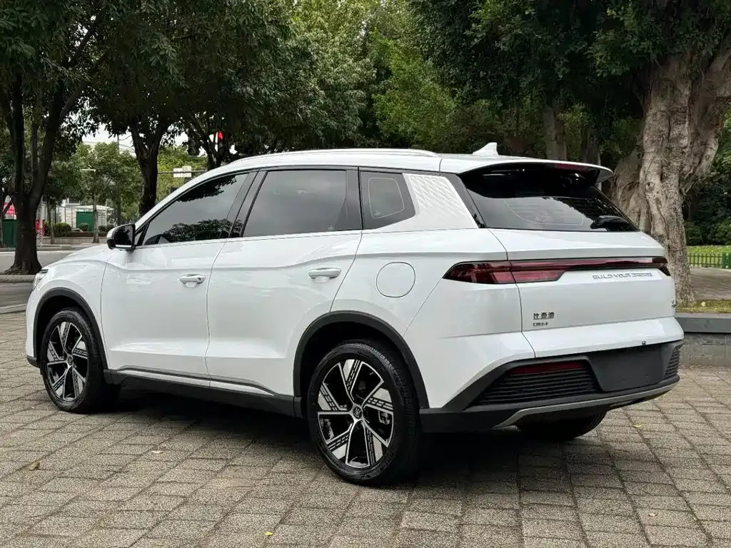 BYD Pro New Energy 2024 из CN, фото 7