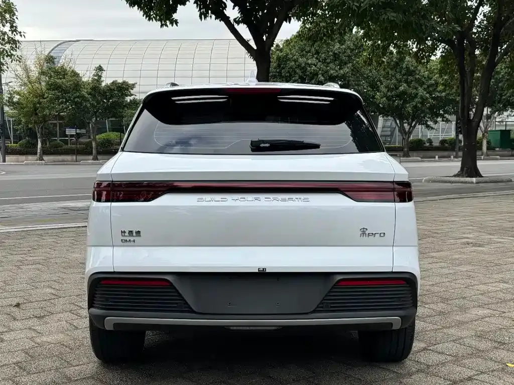 BYD Pro New Energy 2024 из CN, фото 8