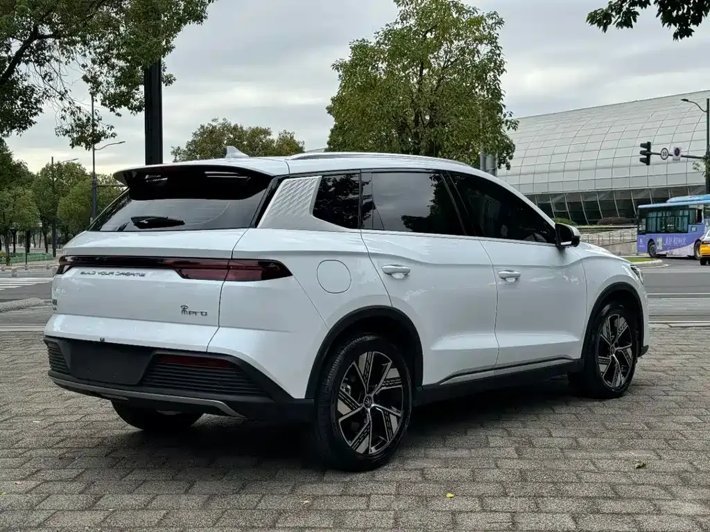 BYD Pro New Energy 2024 из CN, фото 9