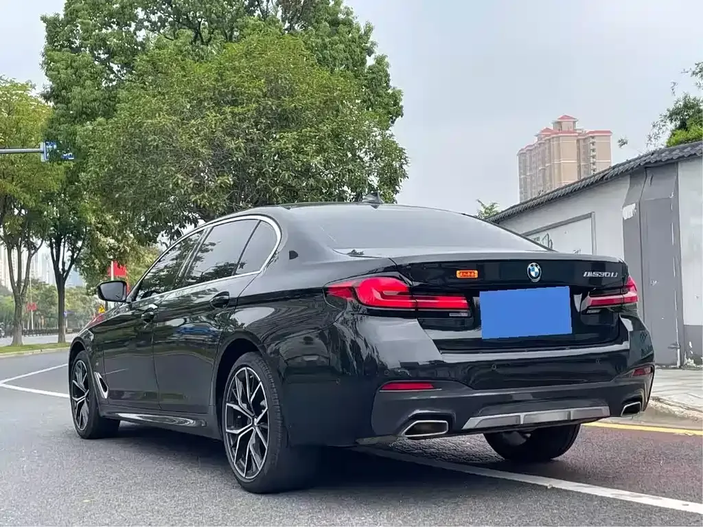BMW 5 Series 2023 из CN, фото 9