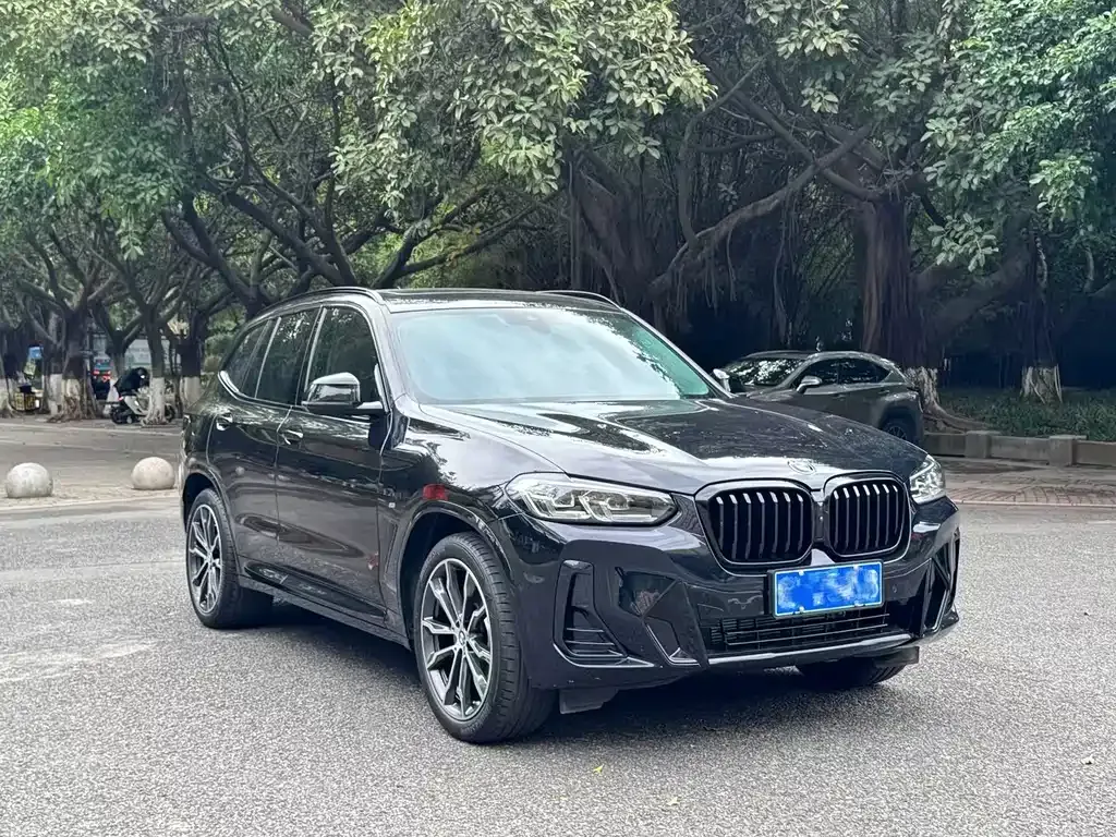 BMW X3 2024 из CN, фото 3