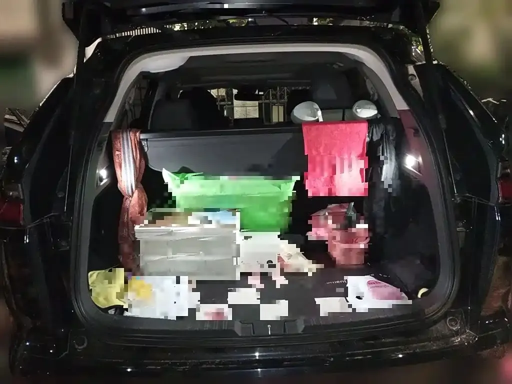 Honda Breeze 2024 из CN, фото 10