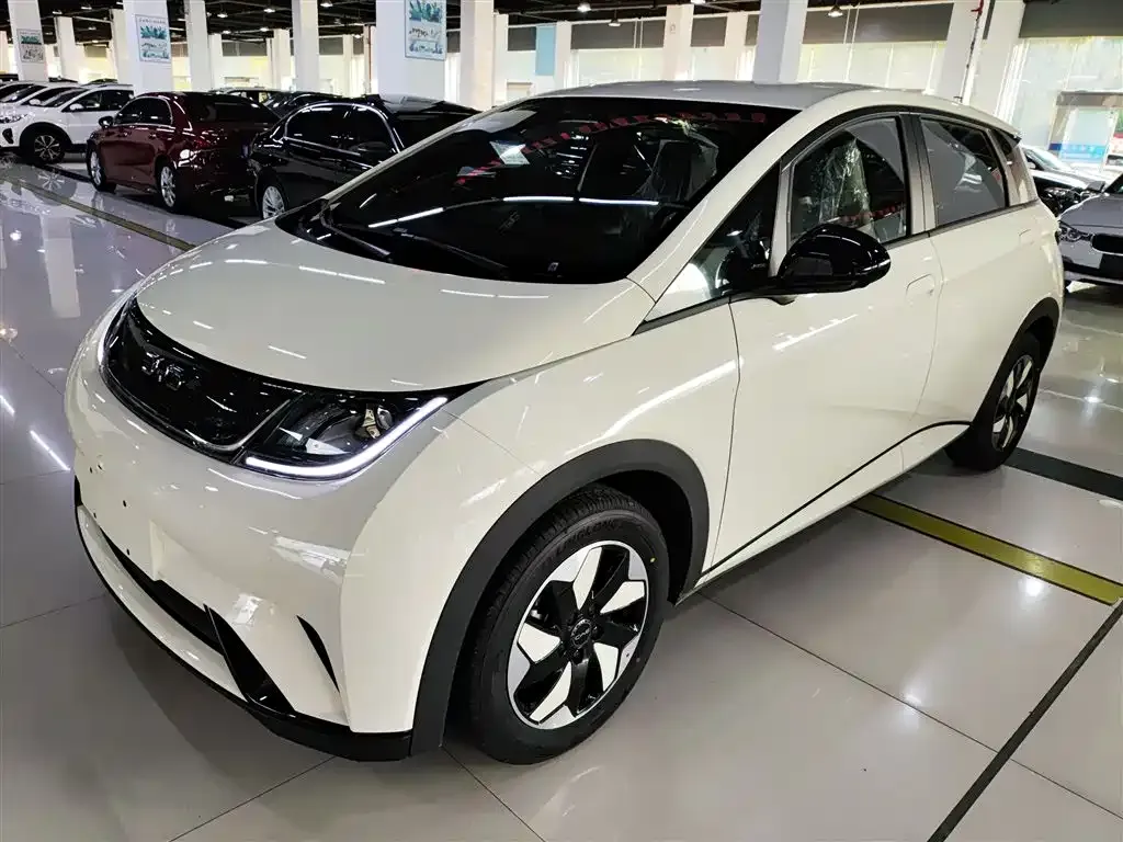 BYD Dolphin 2025 из CN, фото 2