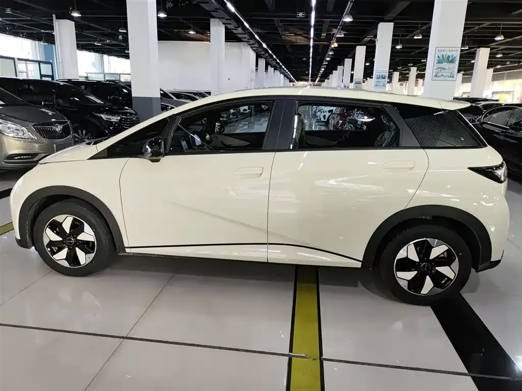 BYD Dolphin 2025 из CN, фото 5