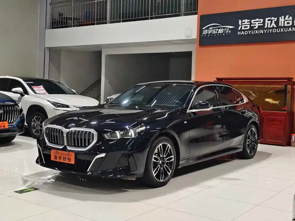 BMW 5 Series 2024 из CN, фото 1
