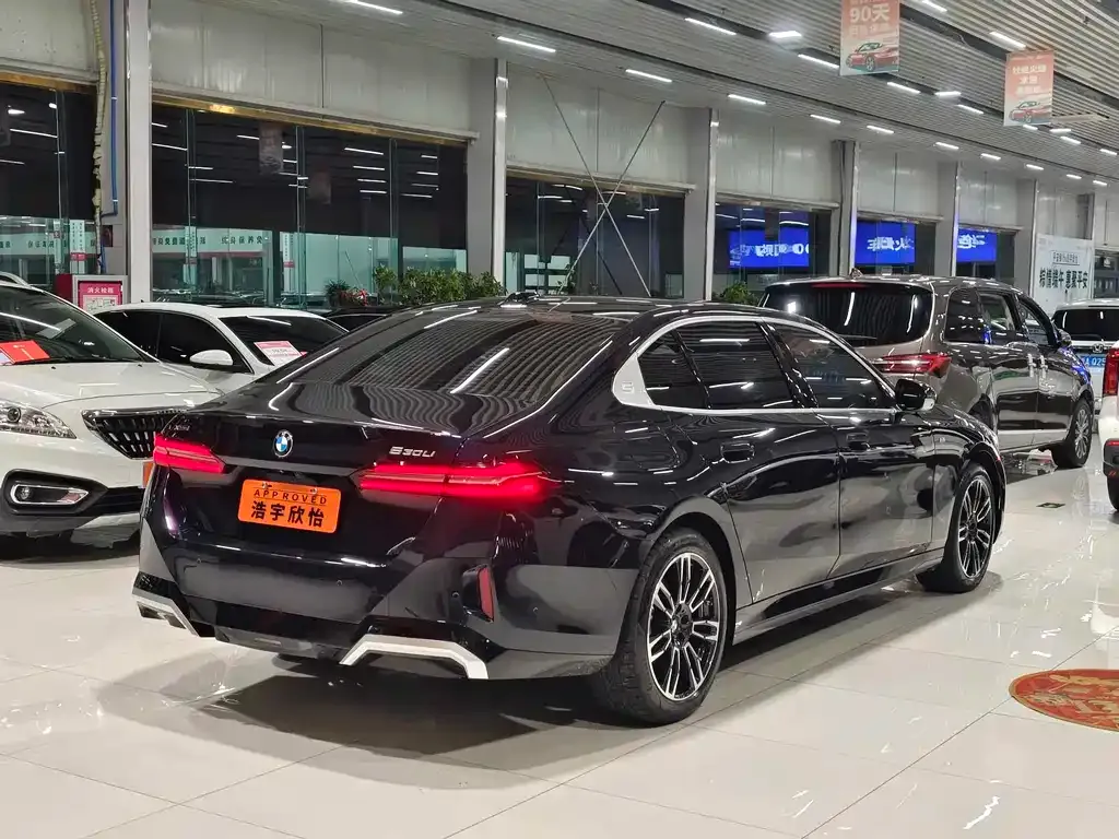 BMW 5 Series 2024 из CN, фото 4