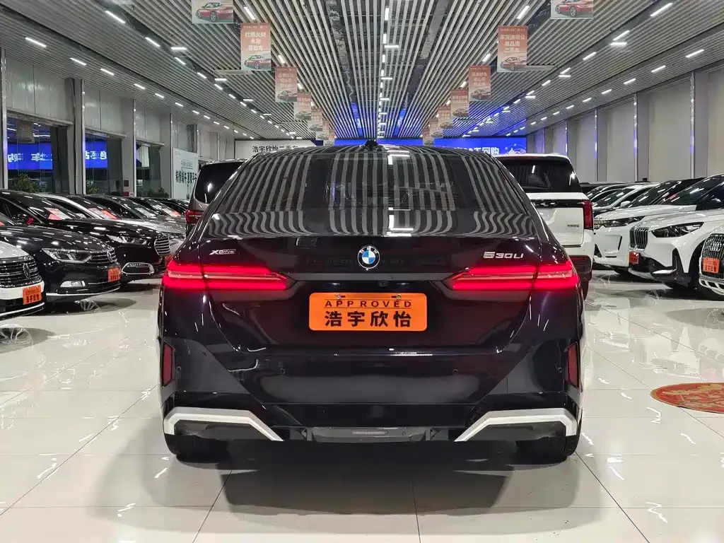BMW 5 Series 2024 из CN, фото 5