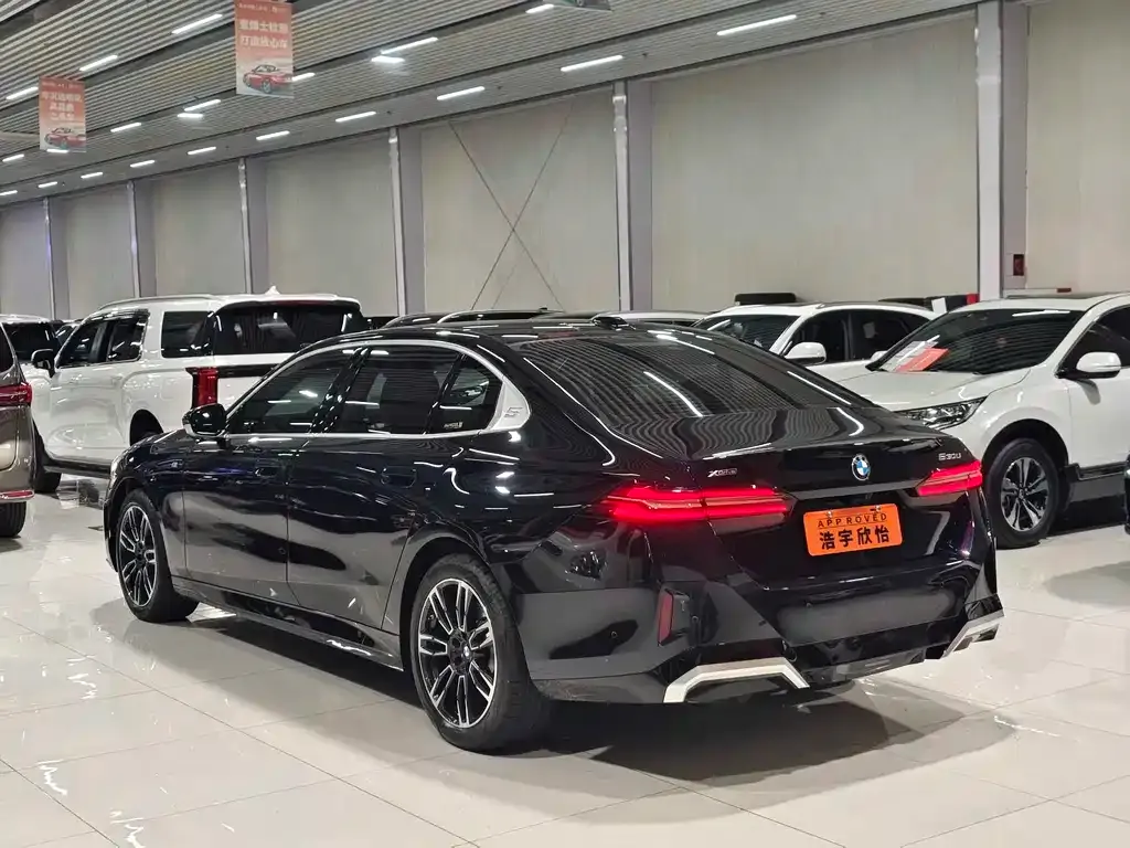 BMW 5 Series 2024 из CN, фото 6