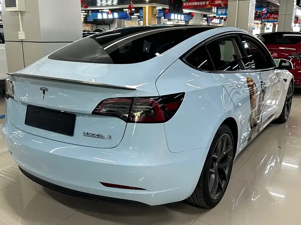 Tesla Model 3 2021 из CN, фото 6