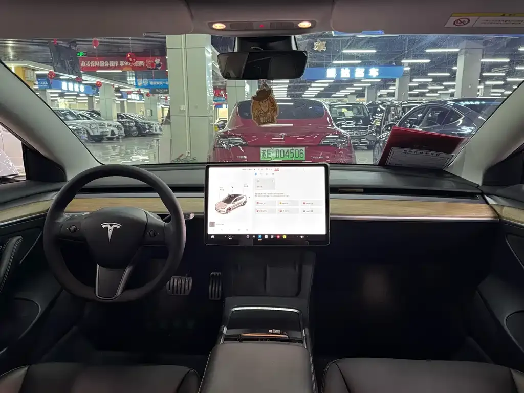 Tesla Model 3 2021 из CN, фото 8