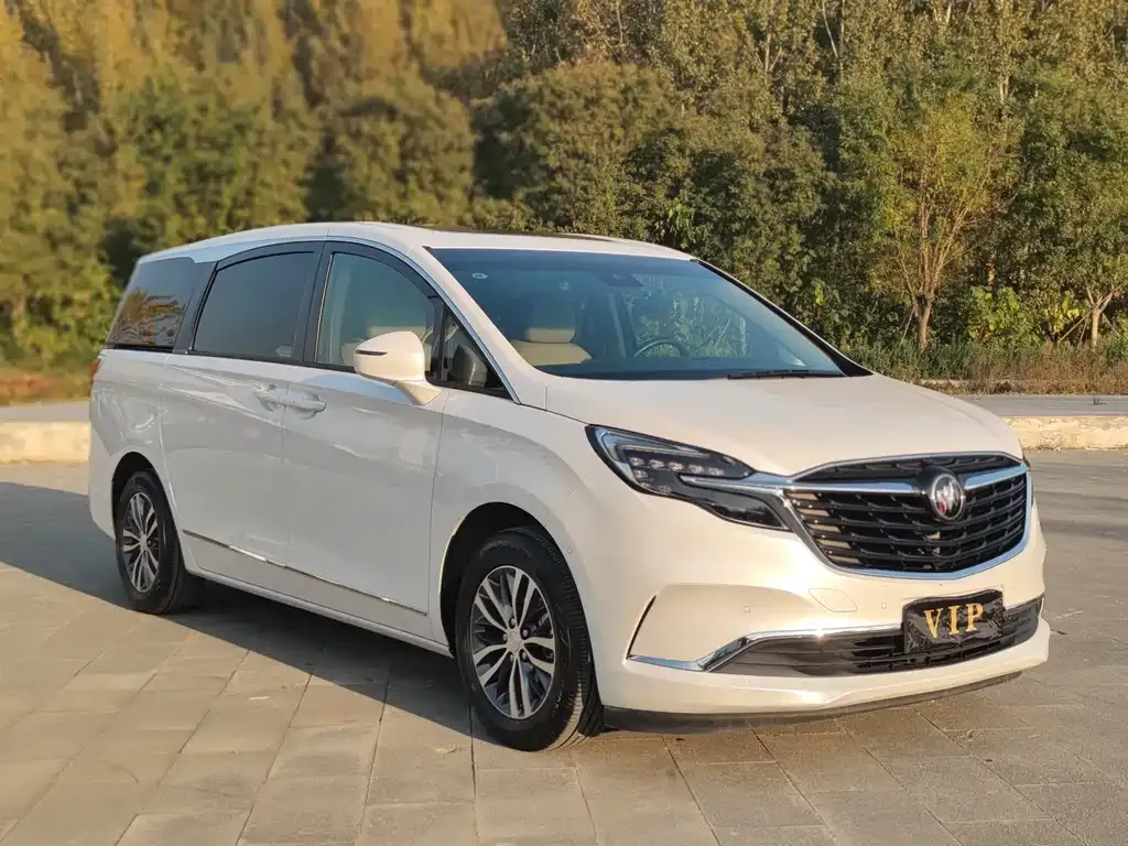 Buick GL8 2021 из CN, фото 3