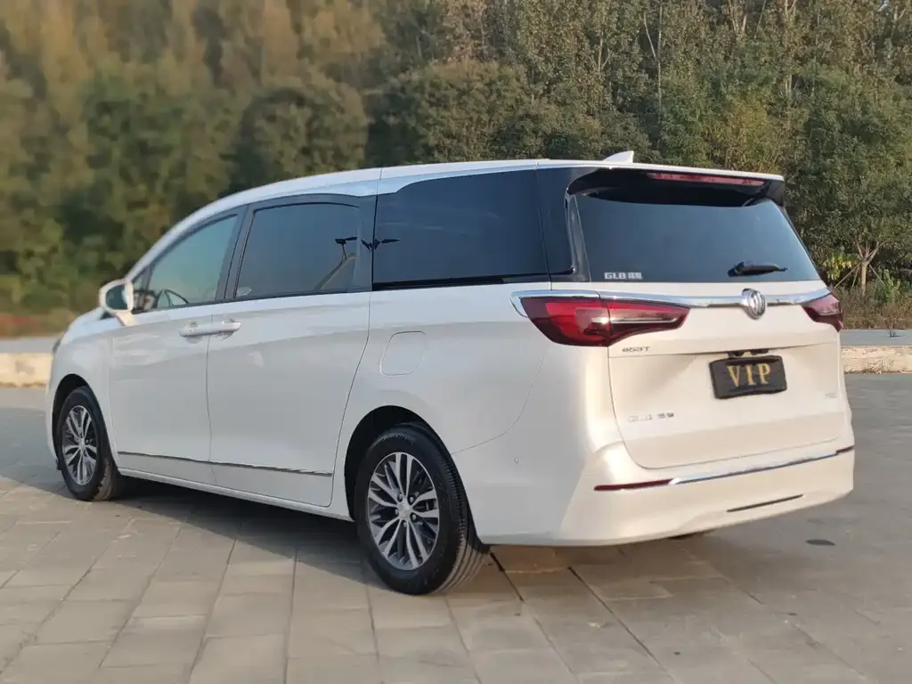 Buick GL8 2021 из CN, фото 7