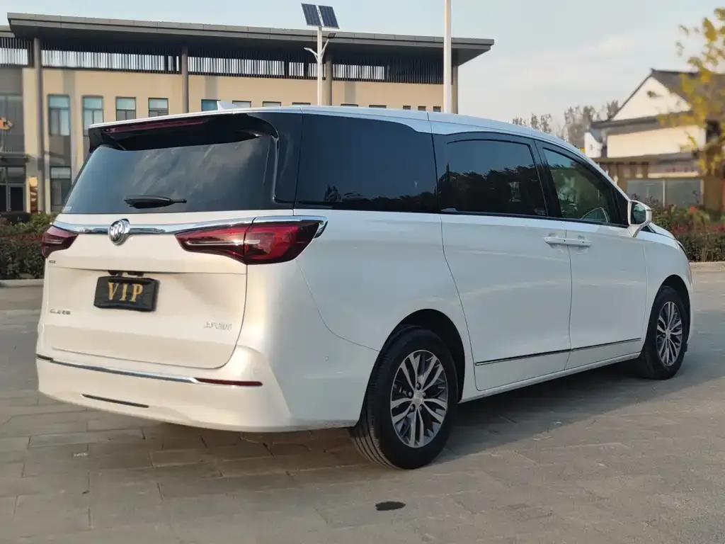 Buick GL8 2021 из CN, фото 8