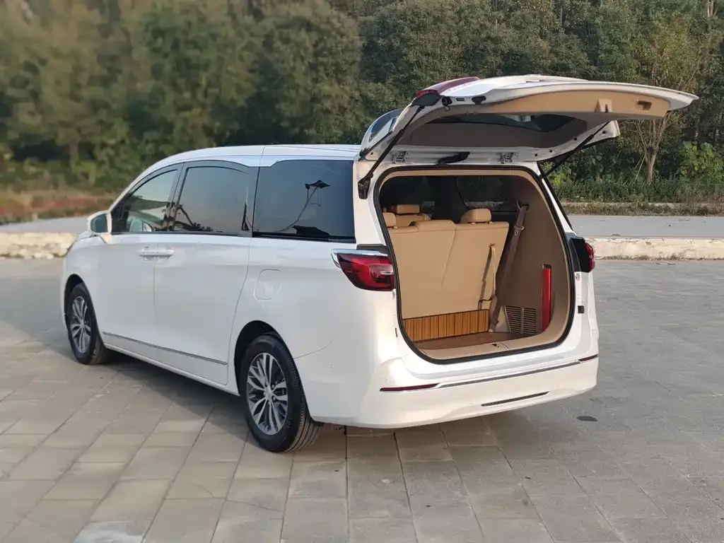 Buick GL8 2021 из CN, фото 9