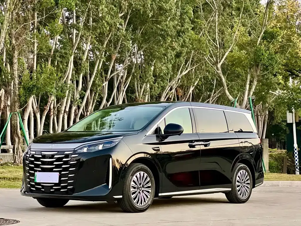 BYD Xia 2025 из CN, фото 1
