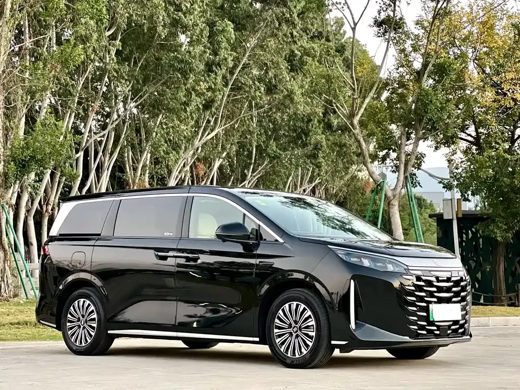BYD Xia 2025 из CN, фото 3