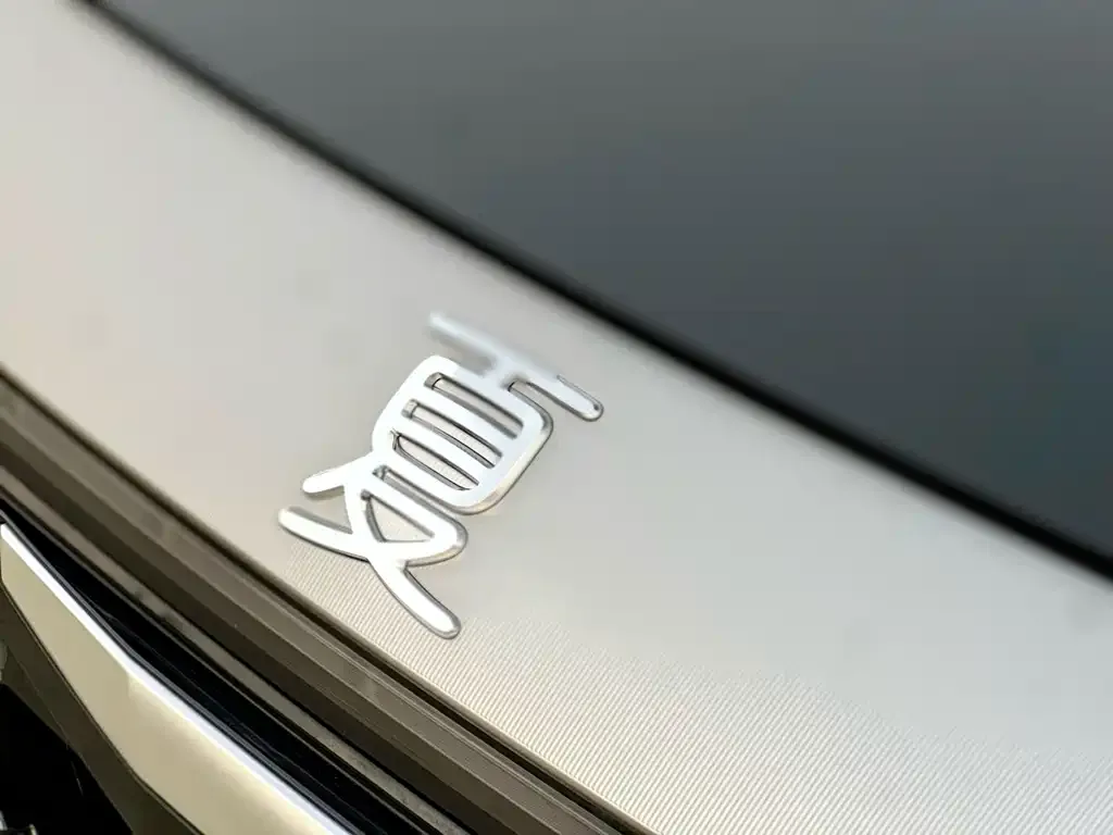 BYD Xia 2025 из CN, фото 5
