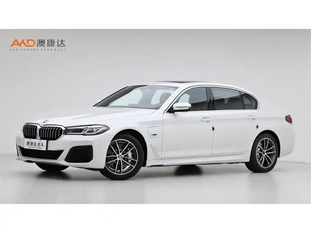 BMW 5 Series New Energy 2021 из CN, фото 1