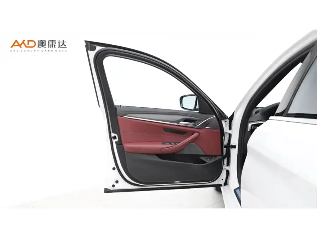 BMW 5 Series New Energy 2021 из CN, фото 10