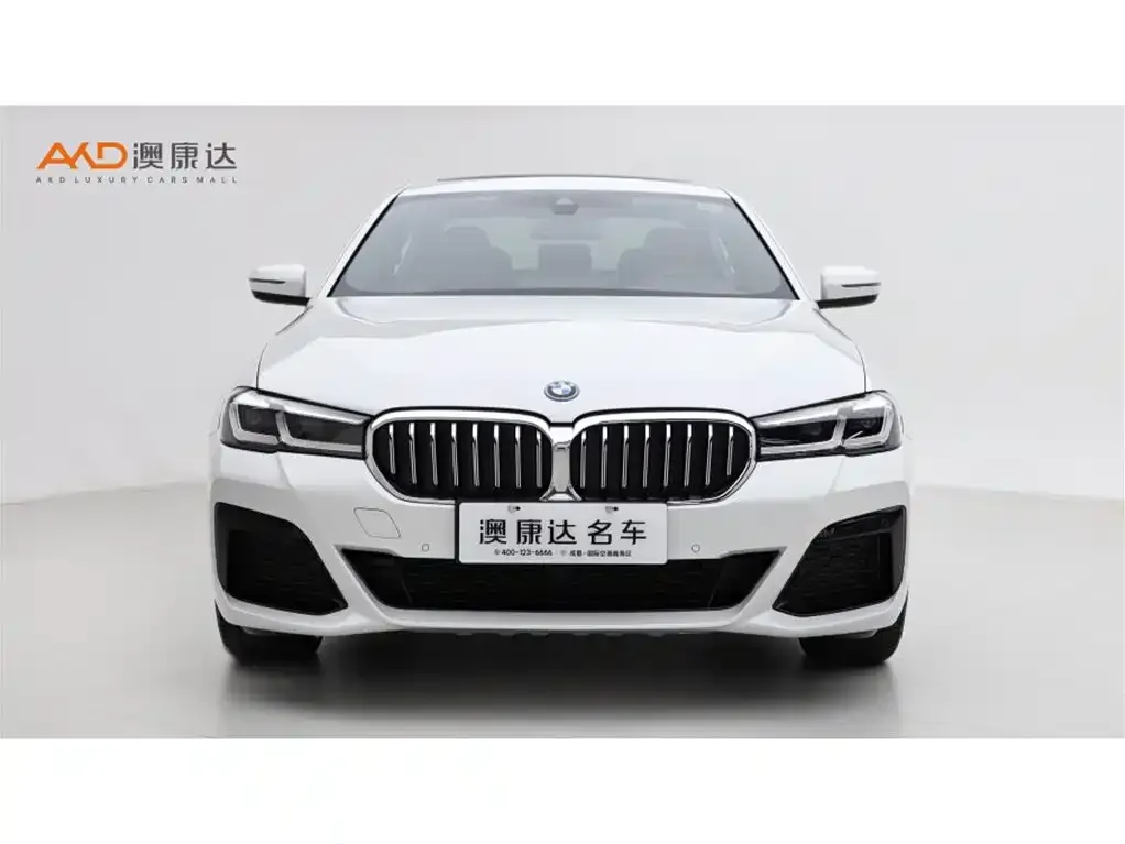 BMW 5 Series New Energy 2021 из CN, фото 2