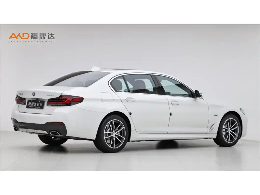 BMW 5 Series New Energy 2021 из CN, фото 3