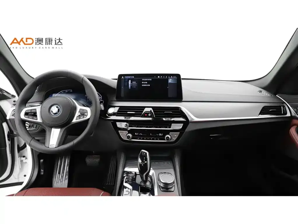 BMW 5 Series New Energy 2021 из CN, фото 5