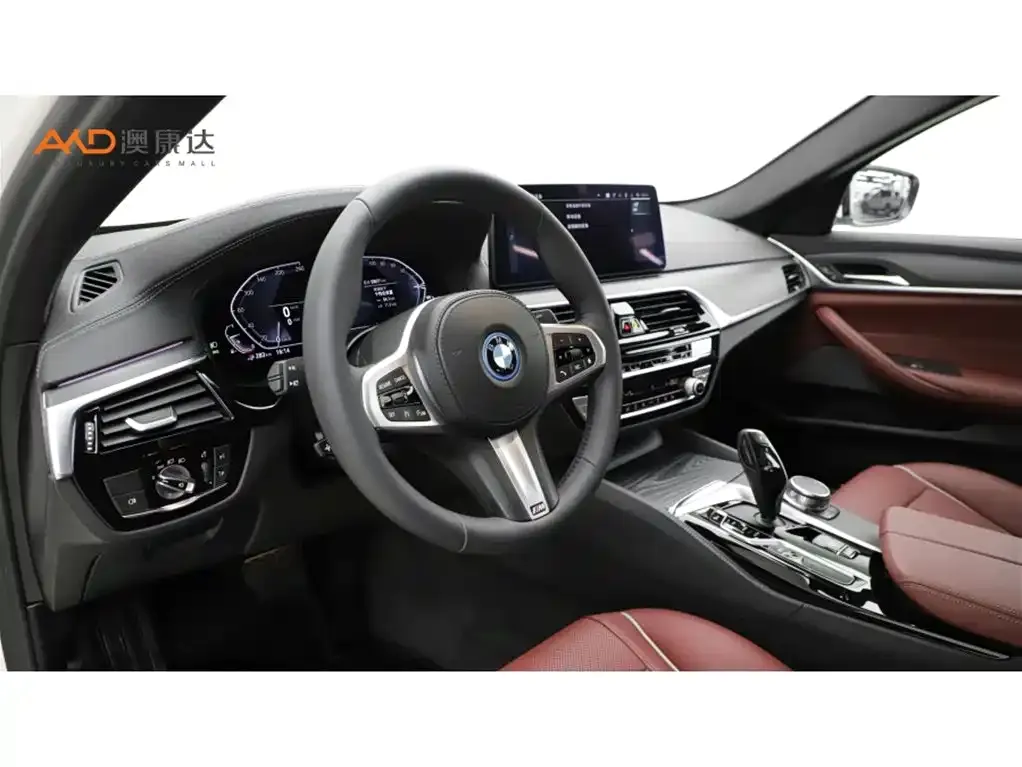BMW 5 Series New Energy 2021 из CN, фото 6