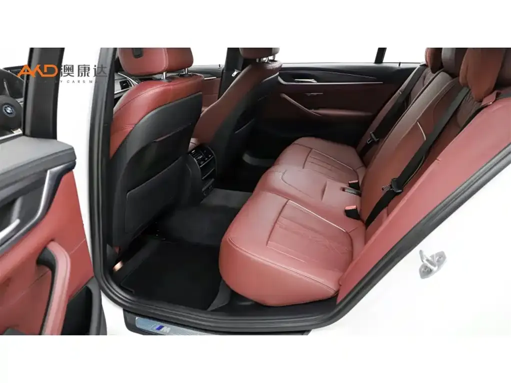 BMW 5 Series New Energy 2021 из CN, фото 7