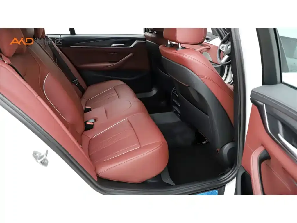 BMW 5 Series New Energy 2021 из CN, фото 8