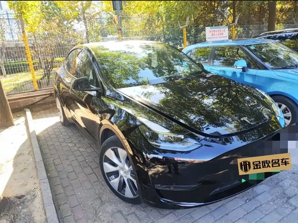Tesla Model Y — фото 1