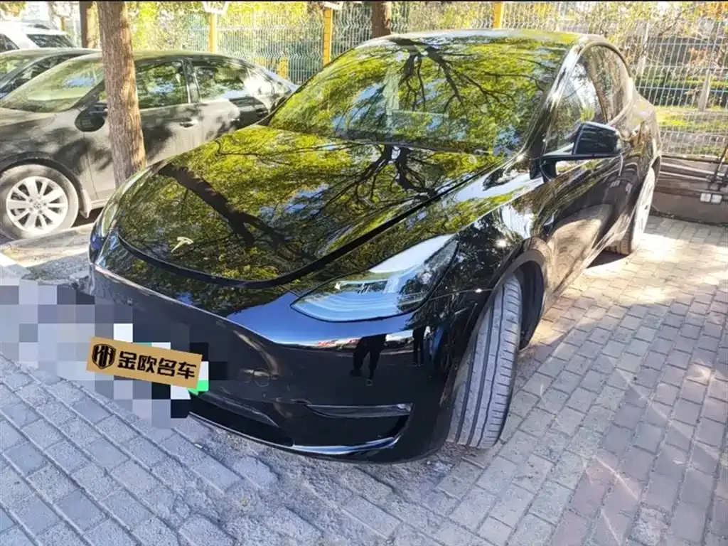 Tesla Model Y — фото 2