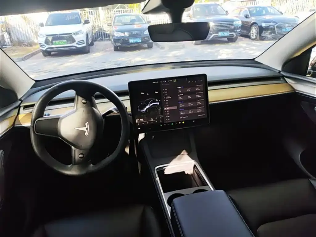 Tesla Model Y — фото 7