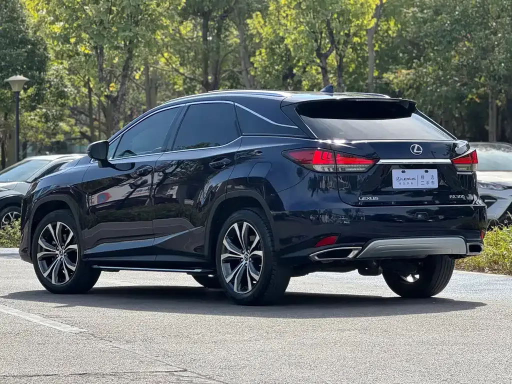 Lexus RX 2021 из CN, фото 4