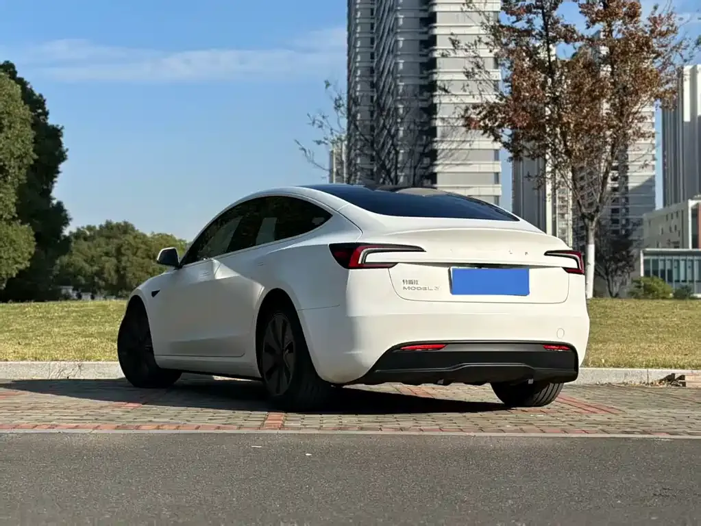 Tesla Model 3 2024 из CN, фото 3