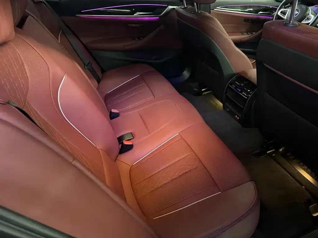 BMW 5 Series 2022 из CN, фото 10