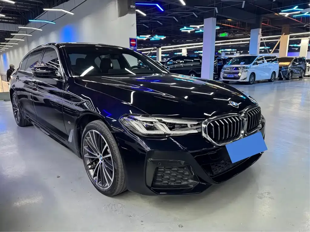 BMW 5 Series 2022 из CN, фото 3
