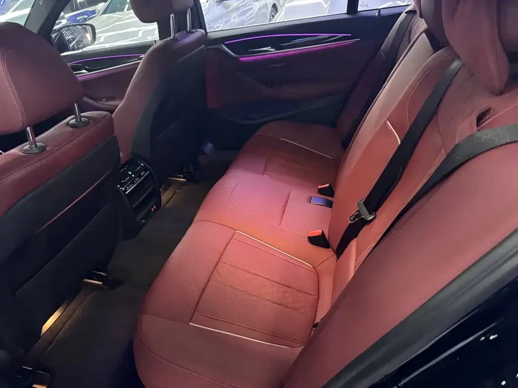 BMW 5 Series 2022 из CN, фото 6
