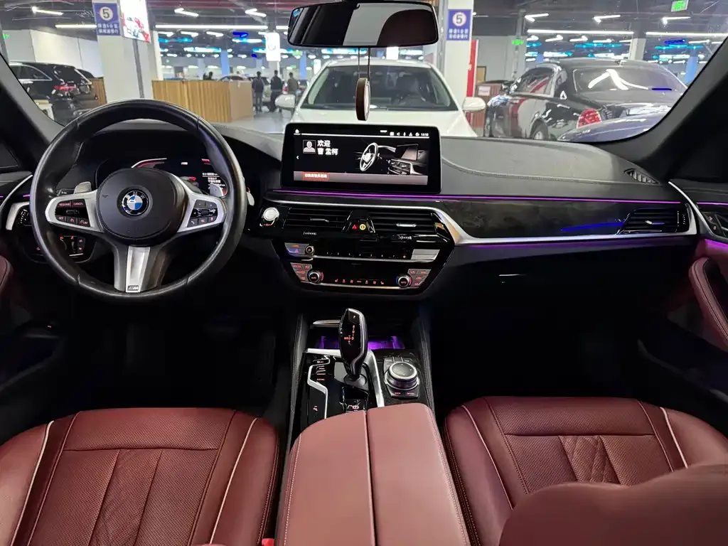 BMW 5 Series 2022 из CN, фото 7