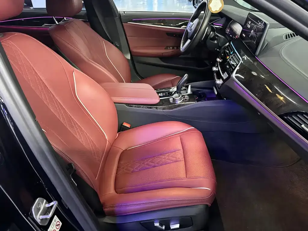 BMW 5 Series 2022 из CN, фото 9